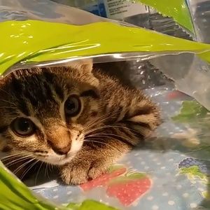 Meet your Posher, Jackie